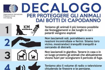 Proteggere gli animali dai botti di capodanno