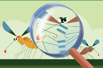 Emissione ordinanza per la prevenzione ed il controllo delle malattie trasmesse da insetti vettori e in particolare da zanzara tigre (Aedes albopictus) e zanzara comune (Culex pipiens)